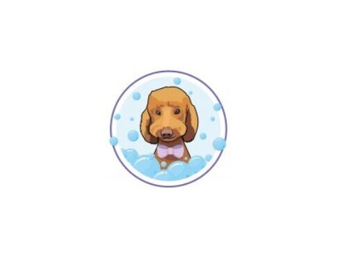 Scruffy to Fluffy Dog Spa